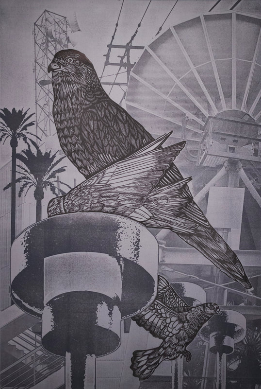 relief print of a hawk and a pigeon on gray paper